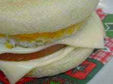 ハチと蓮華-20081221080215.jpg