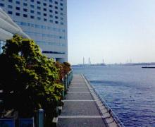 200604090812000.jpg