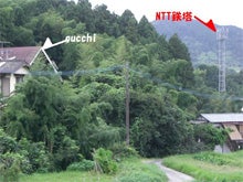 美容室応援インストラクター　グッチ