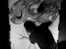 shutter