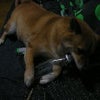 夜のとこ☆の画像
