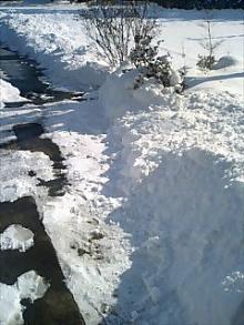 051231_1103~0001.jpg