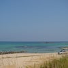 いつかの初夏の画像