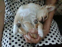 20080811171153.jpg