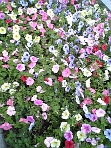 070516_174050.jpg