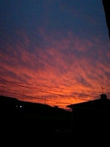 081111_1652~0001.jpg