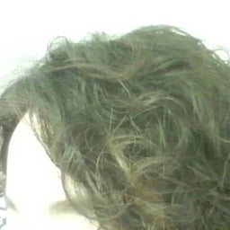 カッパさんの成長ブログ-2009021414330000.jpg