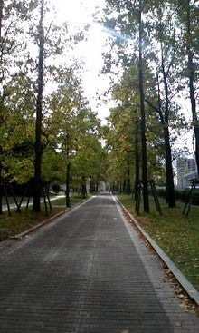 081105_103857.JPG