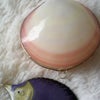 ★海の中ＧＯＯＤＳ★の画像