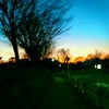夕紅の画像