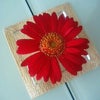 花束〜変身①の画像