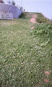 080518_1529~01.JPG