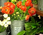 ☆萌のHappy Life☆-090209_142729.jpg