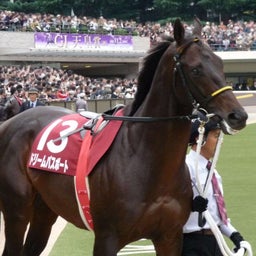 ドリームパスポート