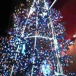 (仮)★Luckymanどっとｃｏｍ★～ついに京橋花月がオープンしましてんＳＰ～-大阪の風景_2008-12-10_19-21・X'masツリー(倖田來未produce)・HEP F