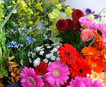 20080221124736.jpg