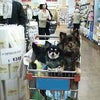 再会の画像