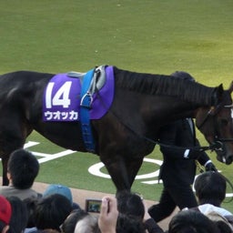 ウオッカ