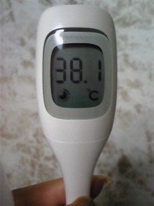 ☆ゆずハチミツ☆+ﾟ-081227_000511.jpg
