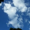 11/14。の画像
