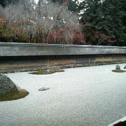 ハチの日記-200811281502000.jpg