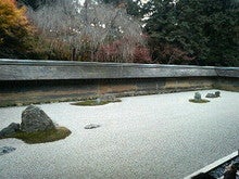 ハチの日記-200811281502000.jpg