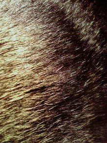 2008082301050000.jpg