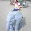 公園の写真の画像