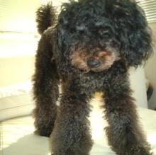 nana473