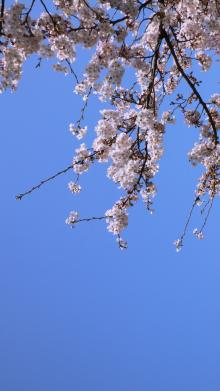 P1020255.jpg