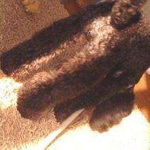 nana10