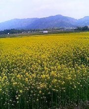 愛東町