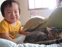 neko