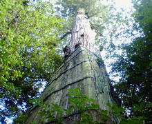 200703310914000.jpg