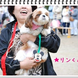 画像 【わんわん運動会！！ｉｎ２００８】part１♪ の記事より 7つ目