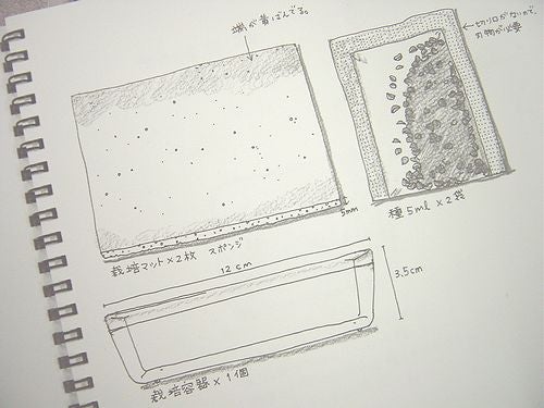 内容