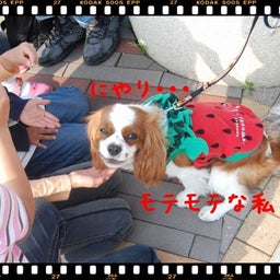 画像 ２００８年　遠足♪　土岐プレミアムアウトレット！！ の記事より 4つ目
