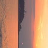 夕方の散歩の画像