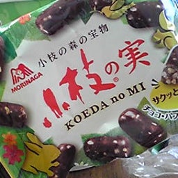 キャロルのブログ-090208_1344~02.JPG