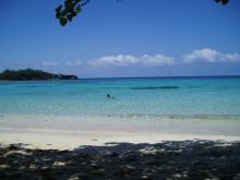 Local Beach
