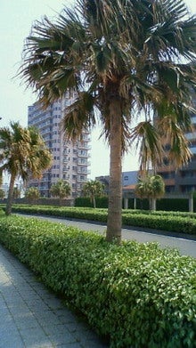 200804271335000.jpg