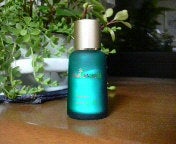 2008081921590000.jpg