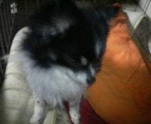 Ｋａｊｉ’ｓ   Ｂａｒ．-200812100551000.jpg