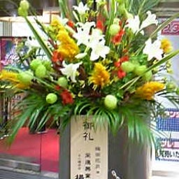 画像 今日ノうめだ花月(ﾊﾞｲﾊﾞｲ!うめだ花月公演:ｻﾖﾅﾗうめ花SP) の記事より 2つ目