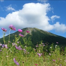 画像 10月の写真 の記事より