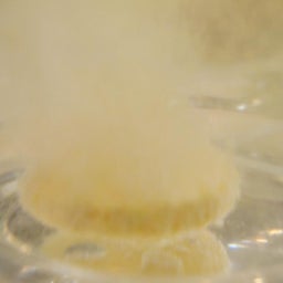 ドボン
