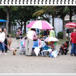 画像 【わんわん運動会ｉｎ２００８！！】Part４ の記事より 7つ目