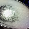 冬型の気圧配置になるでしょうの画像