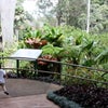 Wahiawa Botanical Gardenの画像