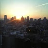 久しぶりの画像